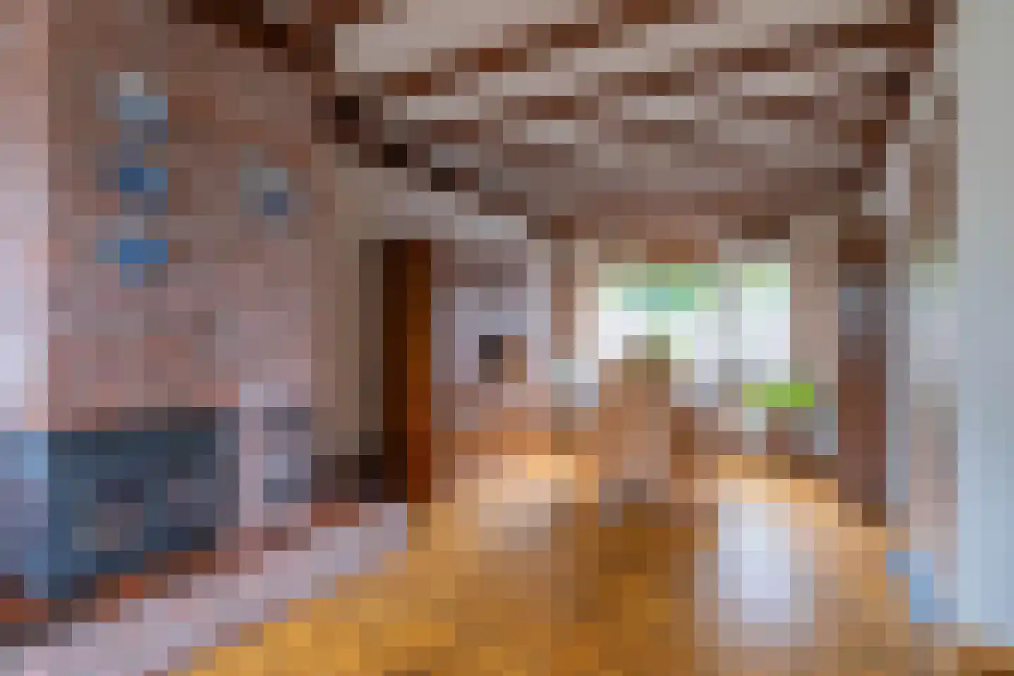 Schenck van Nydeggenstraat 27 Sevenum thumbnail 8