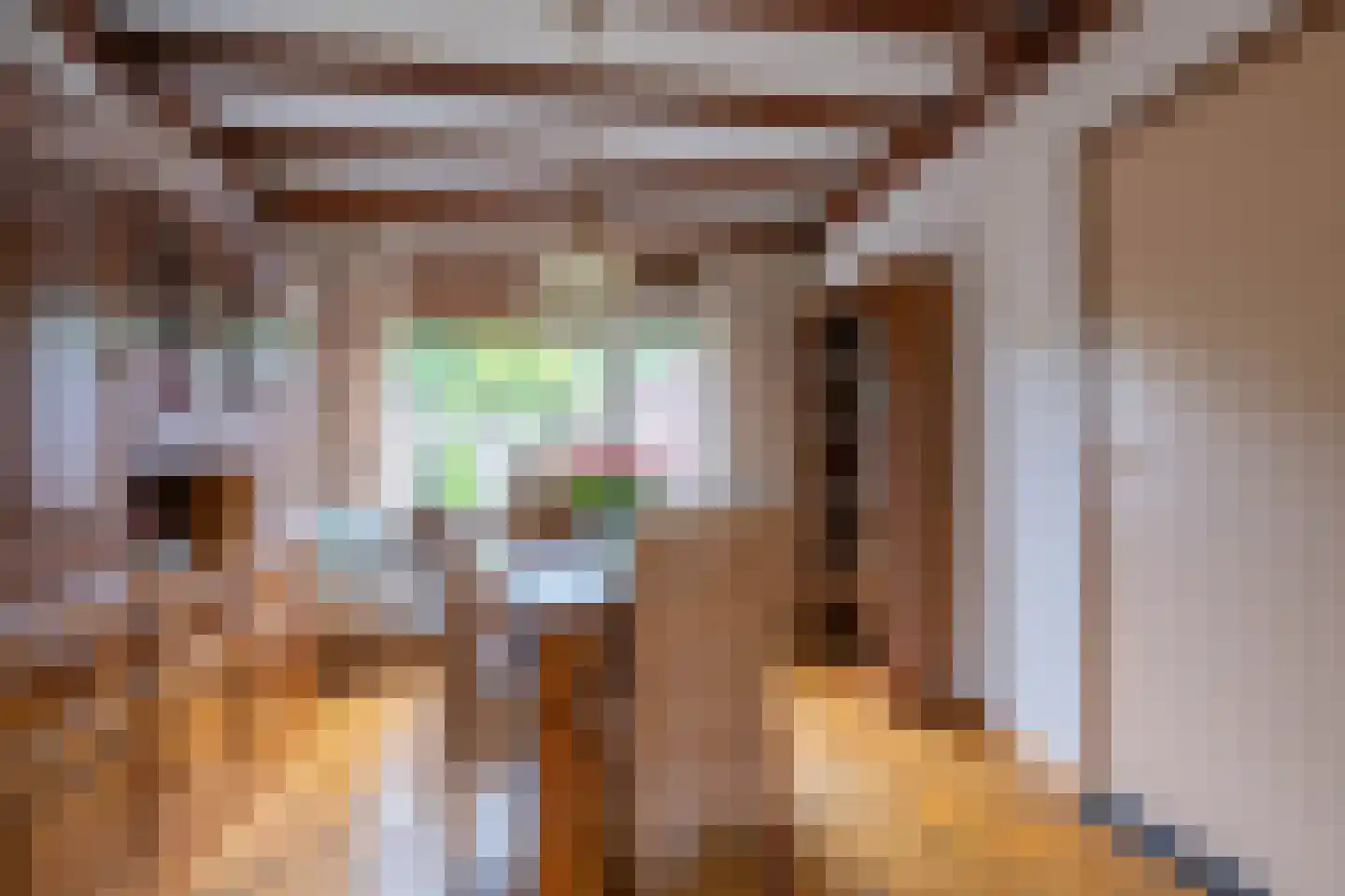 Schenck van Nydeggenstraat 27 Sevenum thumbnail 9