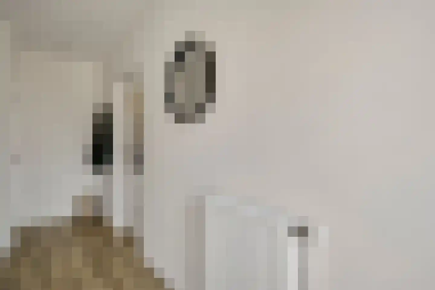 Schenck van Nydeggenstraat 29 Sevenum thumbnail 11