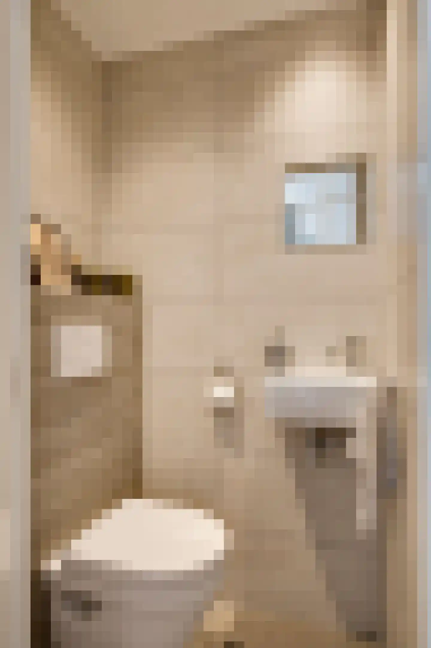 Schenck van Nydeggenstraat 29 Sevenum thumbnail 13