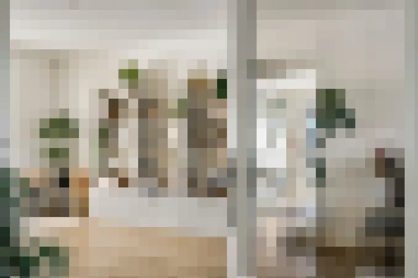 Schenck van Nydeggenstraat 29 Sevenum thumbnail 14