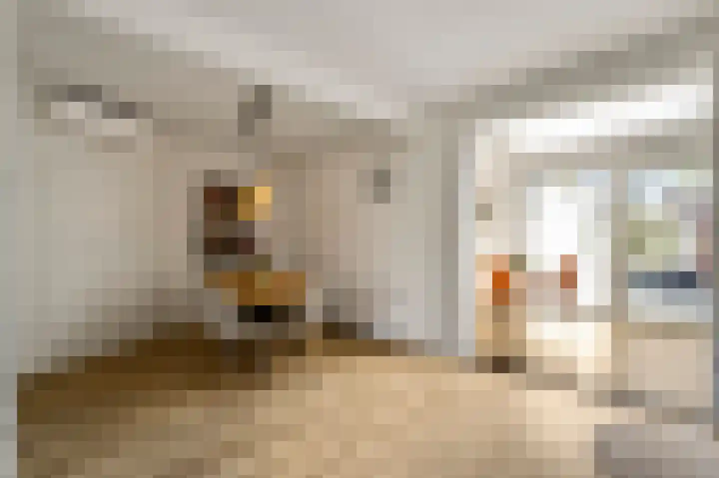 Schenck van Nydeggenstraat 29 Sevenum thumbnail 20
