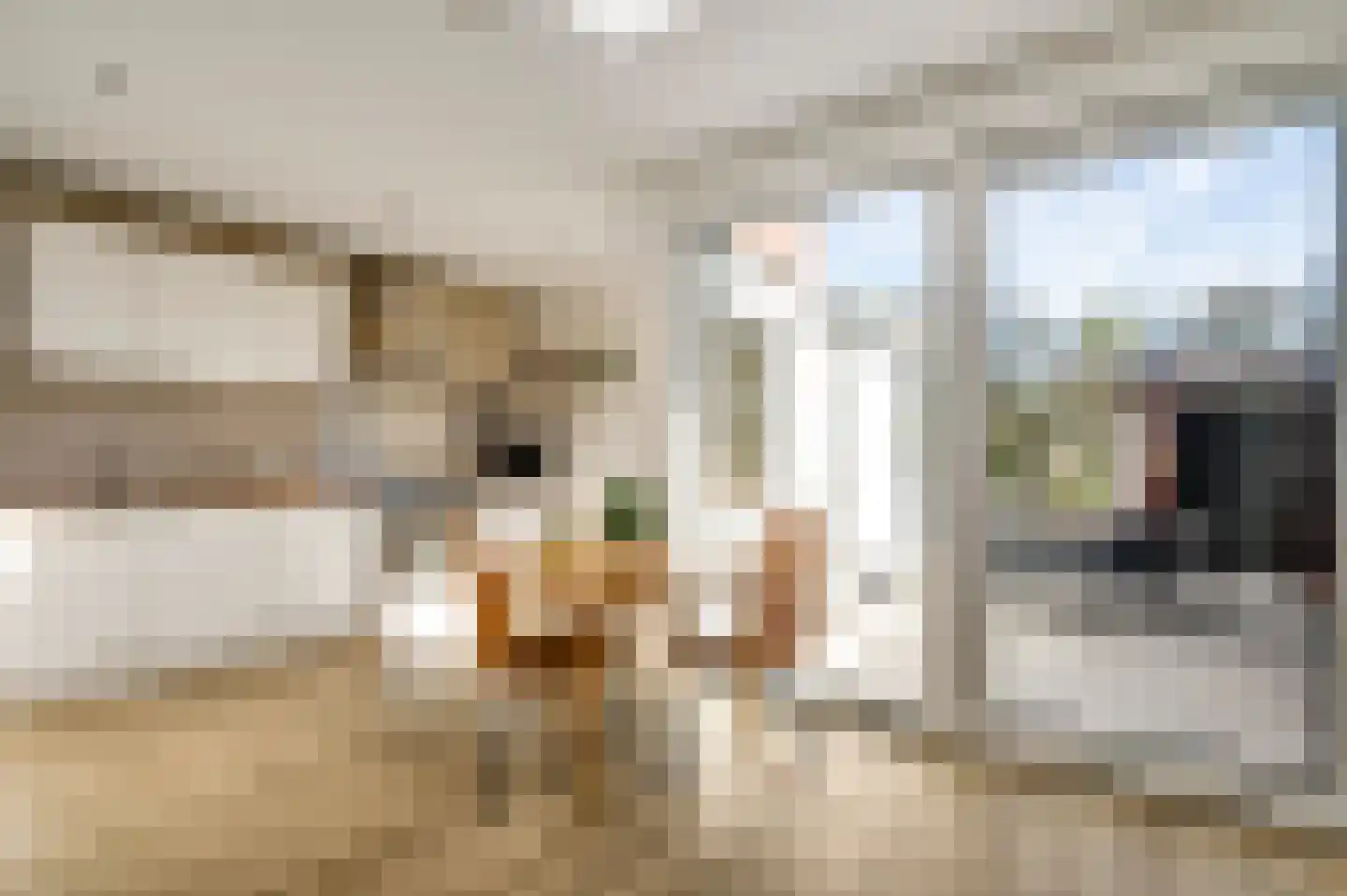 Schenck van Nydeggenstraat 29 Sevenum thumbnail 23