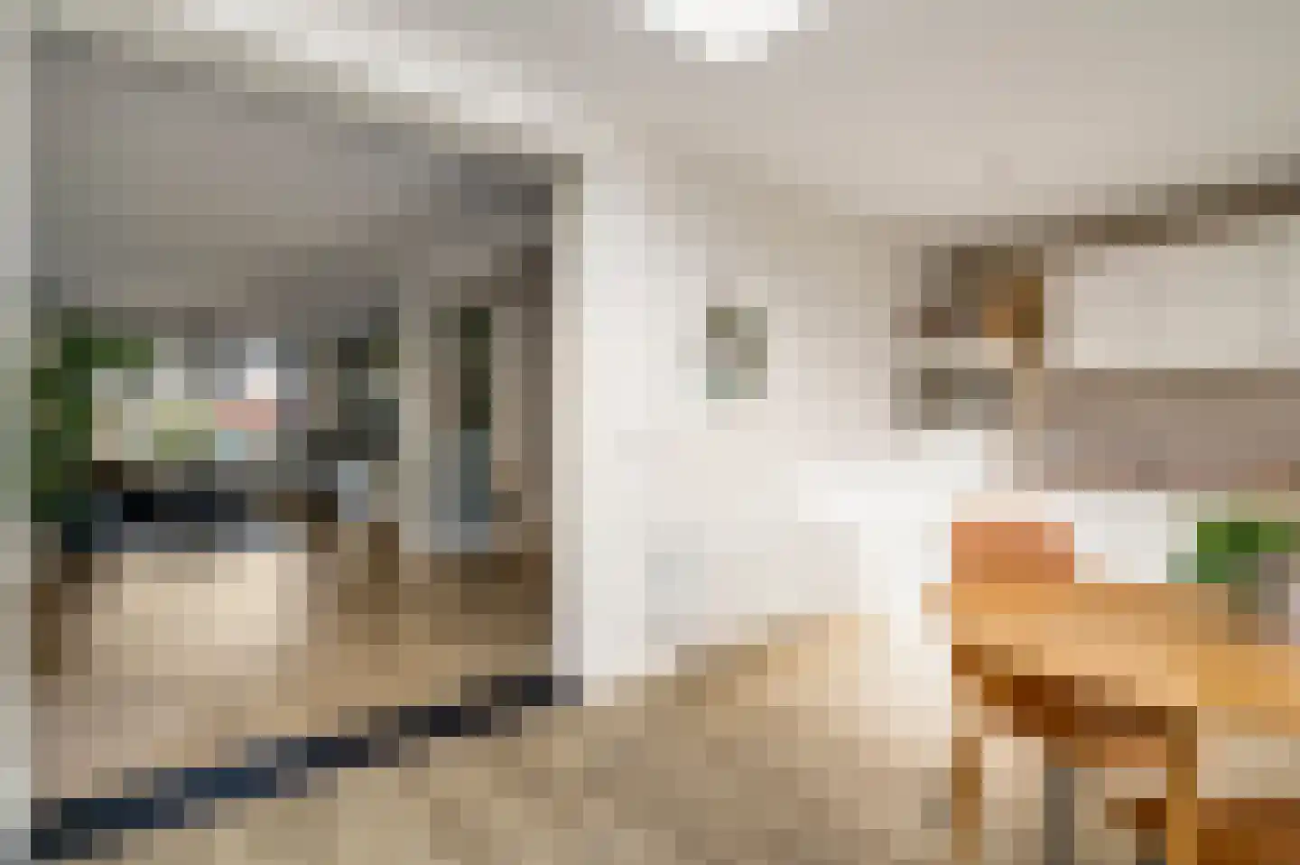 Schenck van Nydeggenstraat 29 Sevenum thumbnail 24