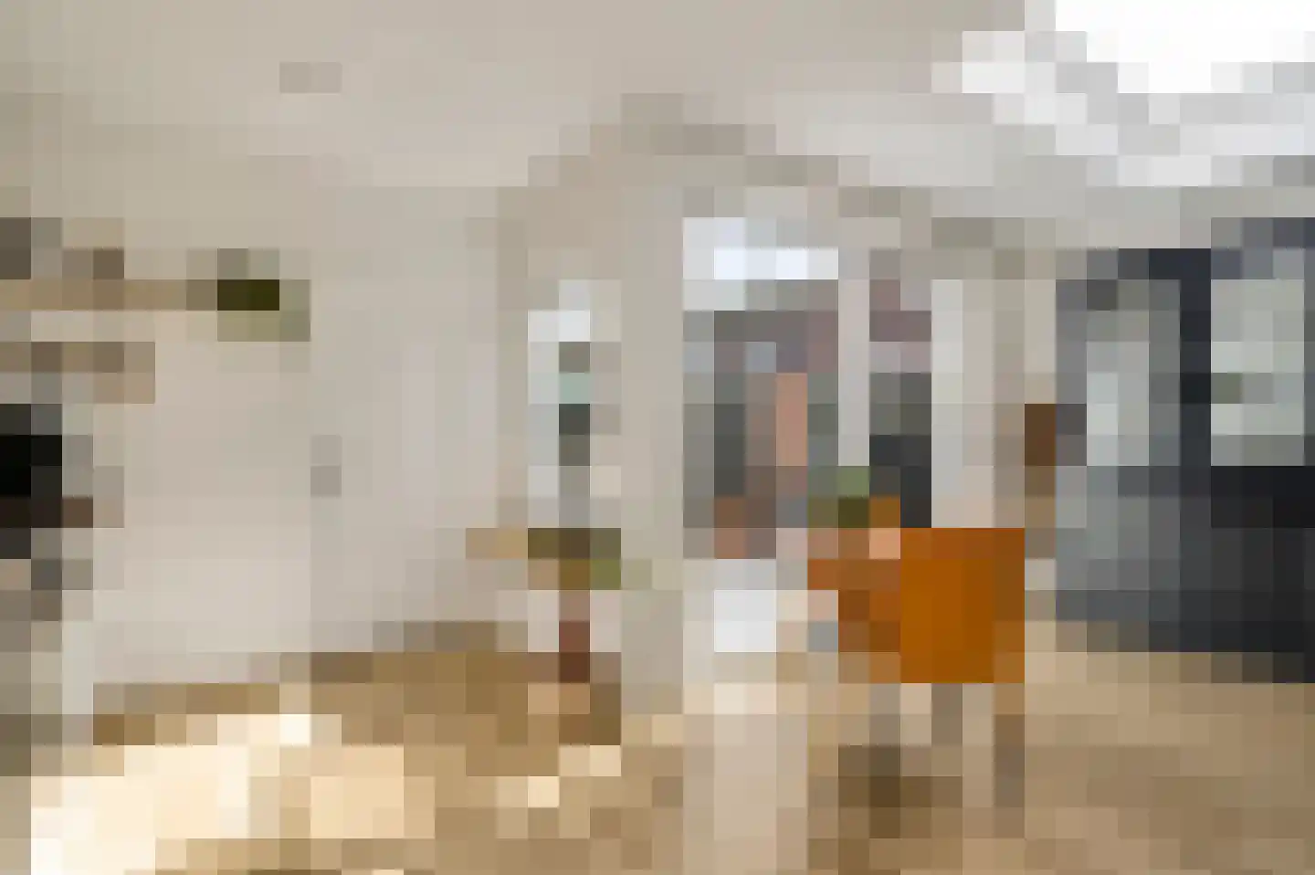 Schenck van Nydeggenstraat 29 Sevenum thumbnail 25