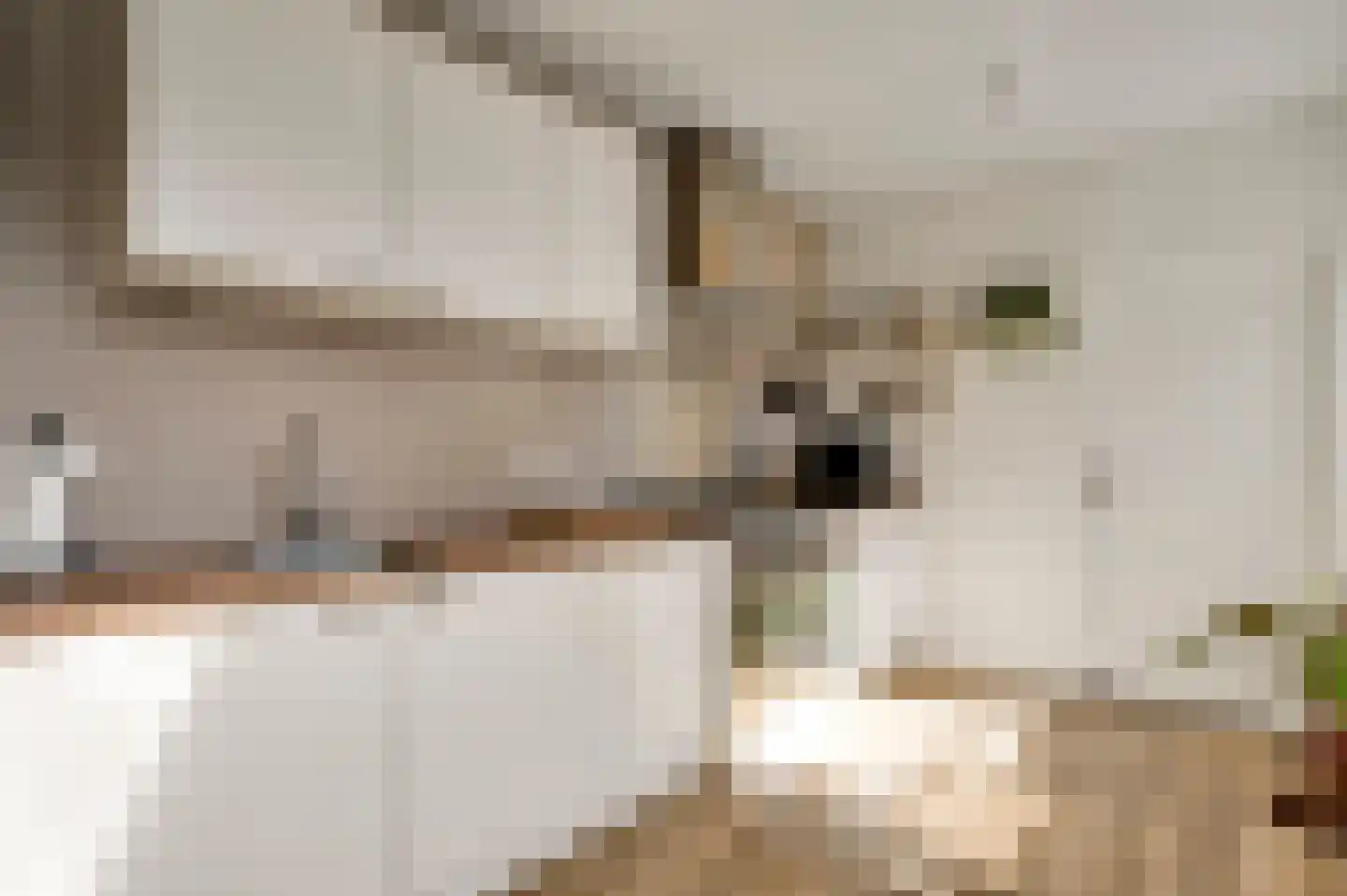 Schenck van Nydeggenstraat 29 Sevenum thumbnail 26