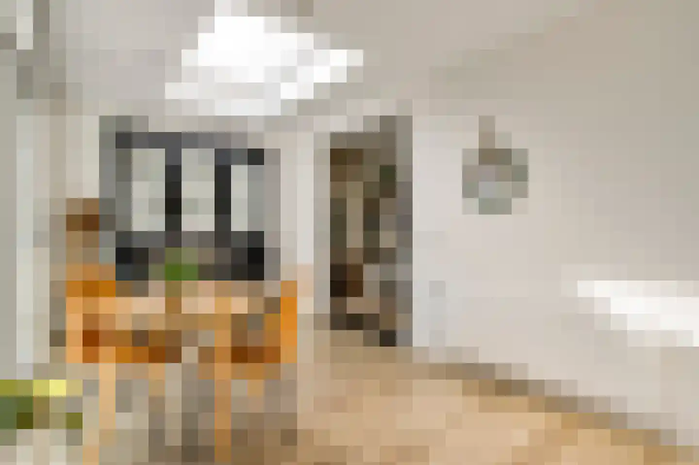 Schenck van Nydeggenstraat 29 Sevenum thumbnail 27