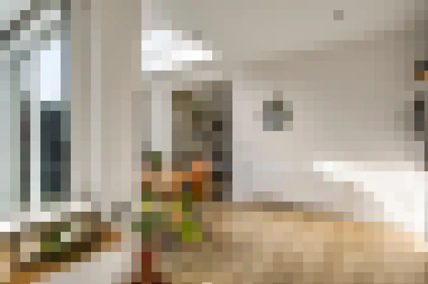 Schenck van Nydeggenstraat 29 Sevenum thumbnail 28