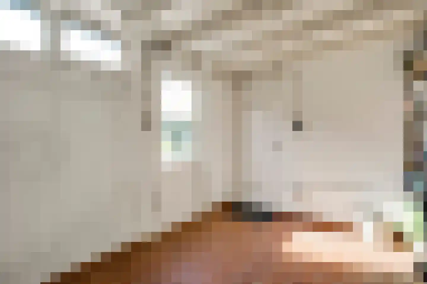 Schenck van Nydeggenstraat 29 Sevenum thumbnail 32