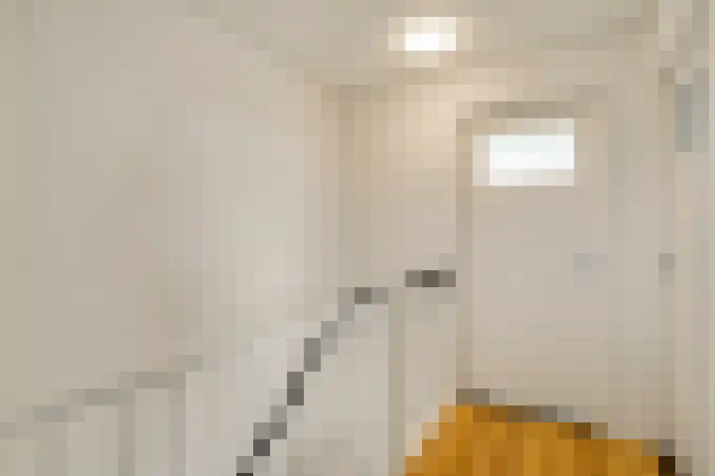 Schenck van Nydeggenstraat 29 Sevenum thumbnail 34