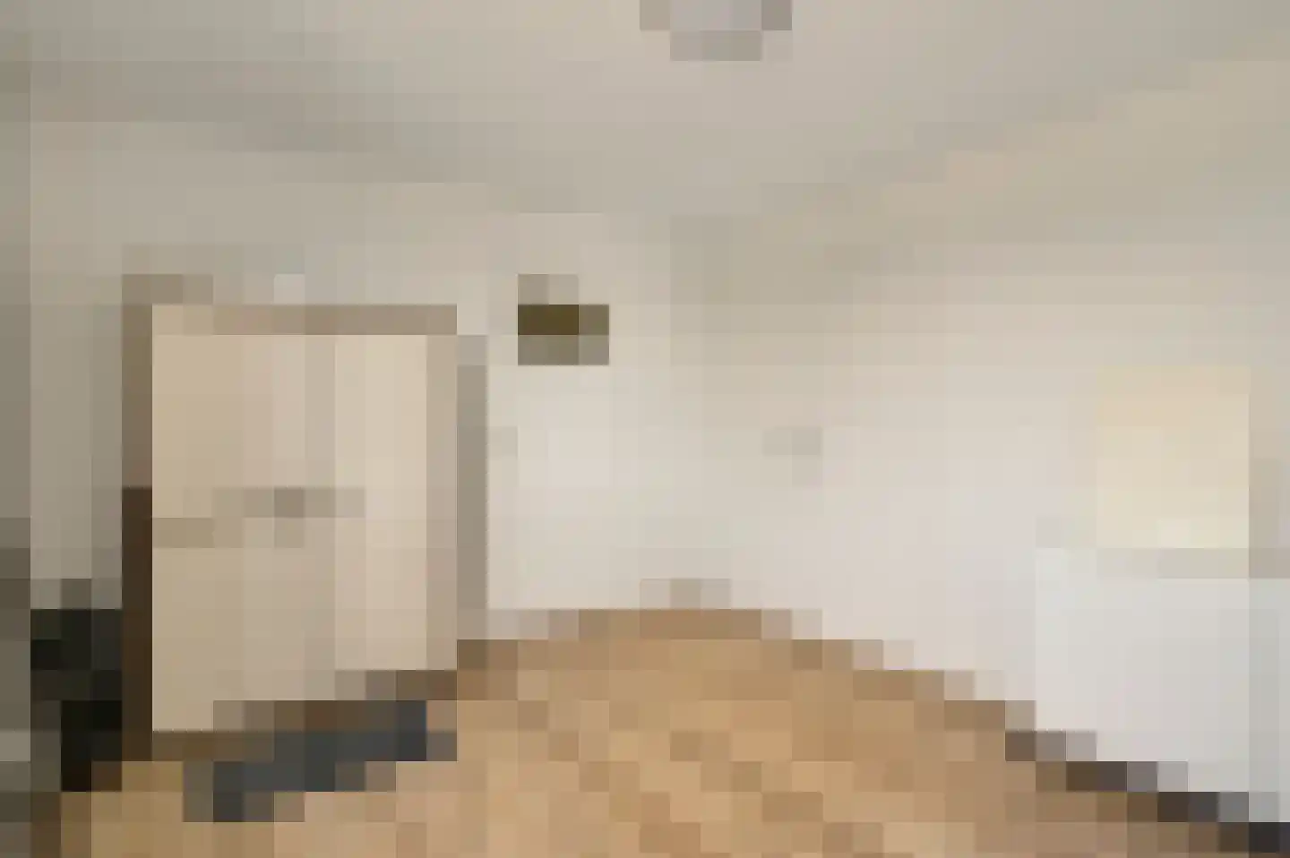 Schenck van Nydeggenstraat 29 Sevenum thumbnail 38
