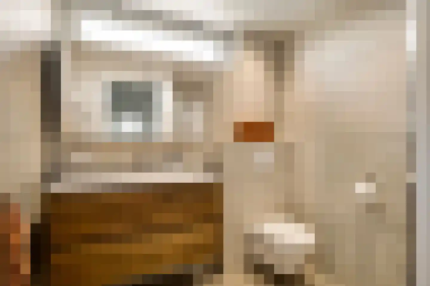 Schenck van Nydeggenstraat 29 Sevenum thumbnail 39