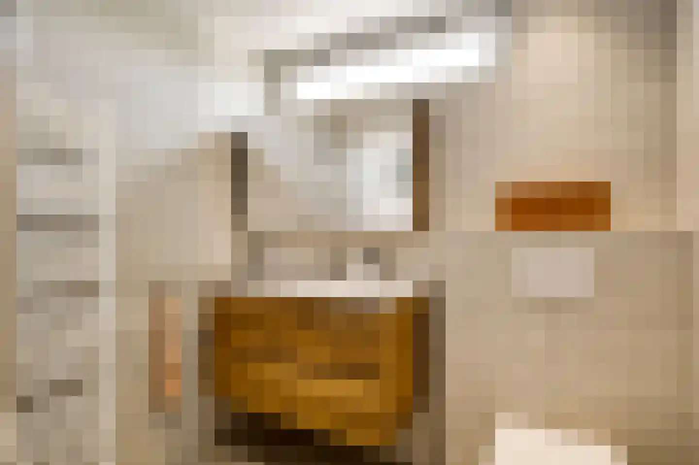 Schenck van Nydeggenstraat 29 Sevenum thumbnail 40