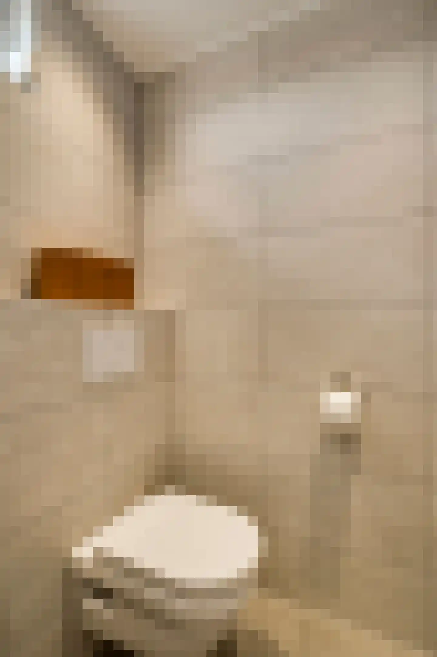 Schenck van Nydeggenstraat 29 Sevenum thumbnail 41