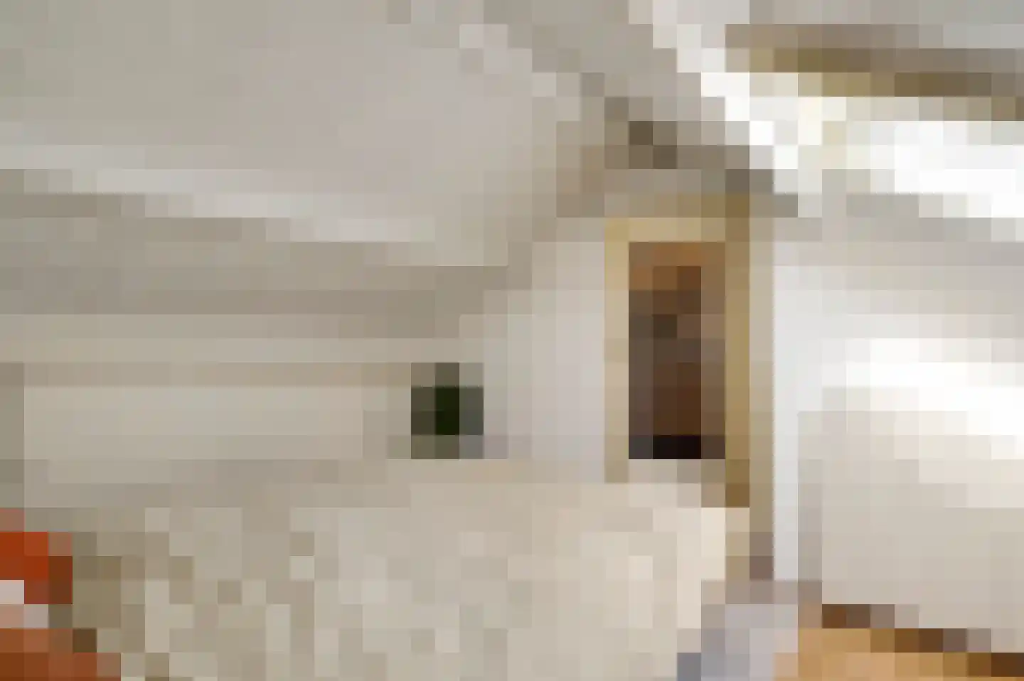 Schenck van Nydeggenstraat 29 Sevenum thumbnail 49