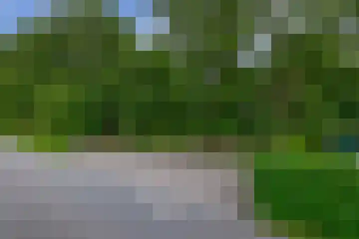 Schenkel 9 Berkenwoude thumbnail 12