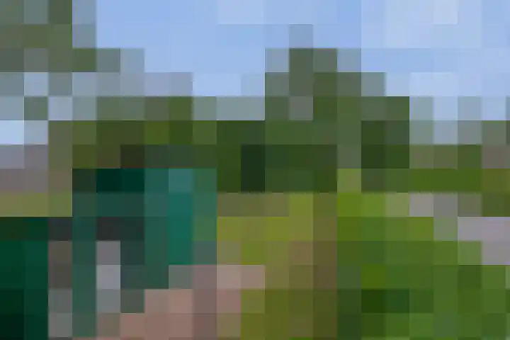 Schenkel 9 Berkenwoude thumbnail 13