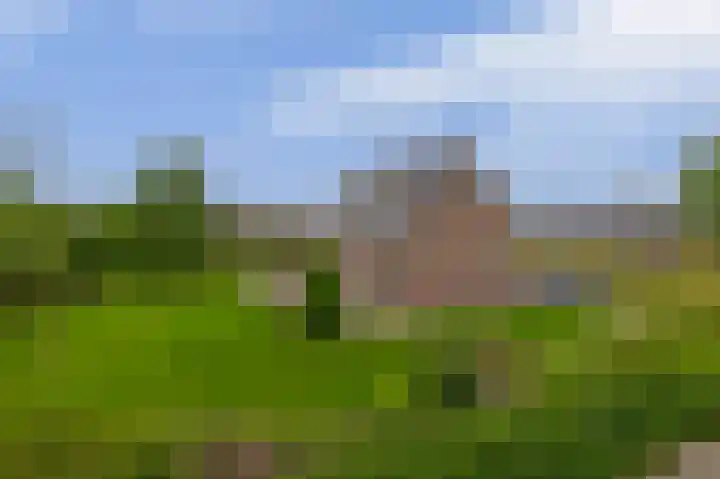Schenkel 9 Berkenwoude thumbnail 14