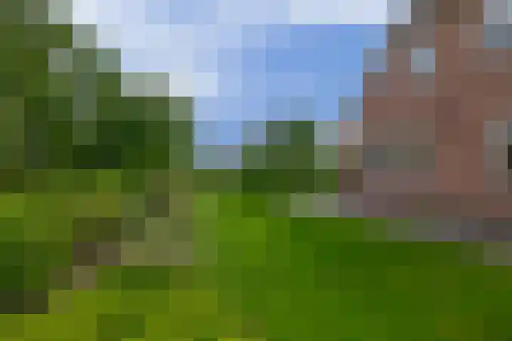 Schenkel 9 Berkenwoude thumbnail 15