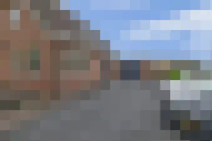 Schenkel 9 Berkenwoude thumbnail 16