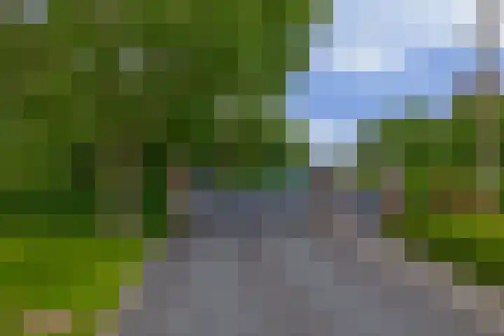 Schenkel 9 Berkenwoude thumbnail 17