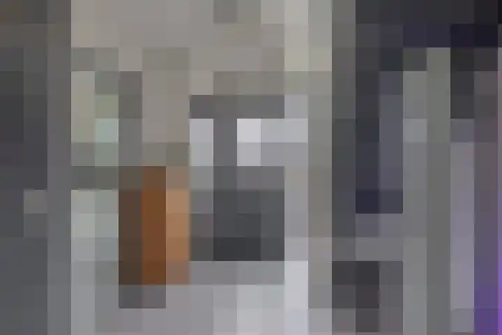 Schenkel 9 Berkenwoude thumbnail 20
