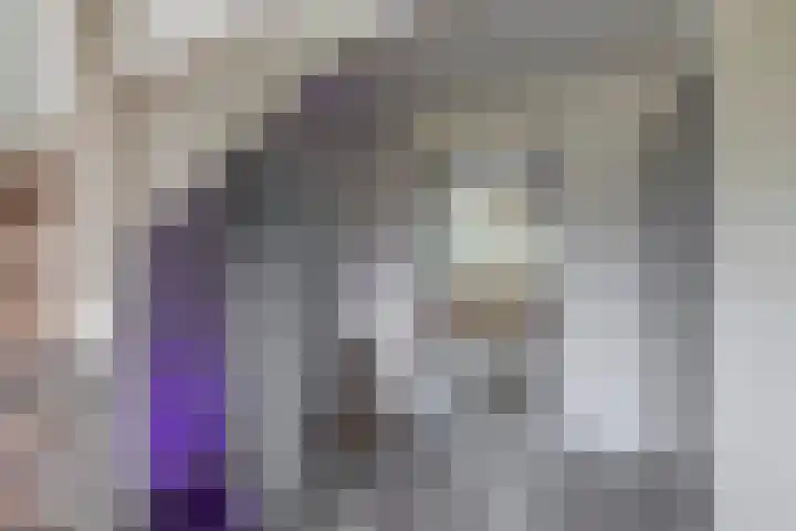Schenkel 9 Berkenwoude thumbnail 22