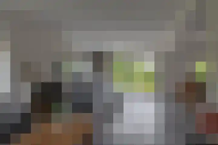 Schenkel 9 Berkenwoude thumbnail 25