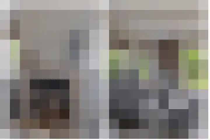 Schenkel 9 Berkenwoude thumbnail 27