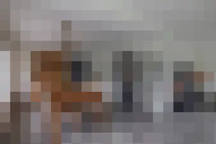 Schenkel 9 Berkenwoude thumbnail 29
