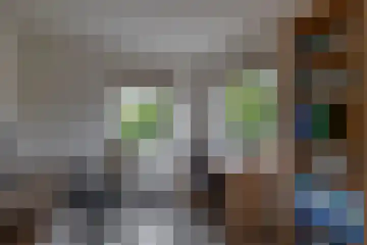 Schenkel 9 Berkenwoude thumbnail 30