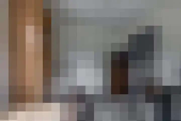 Schenkel 9 Berkenwoude thumbnail 31