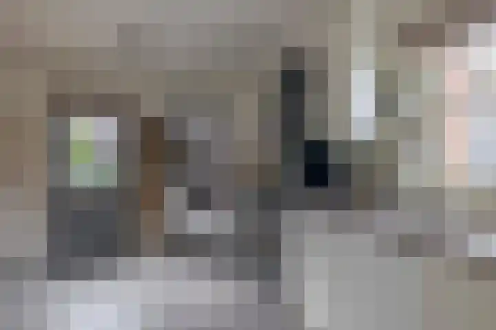Schenkel 9 Berkenwoude thumbnail 32
