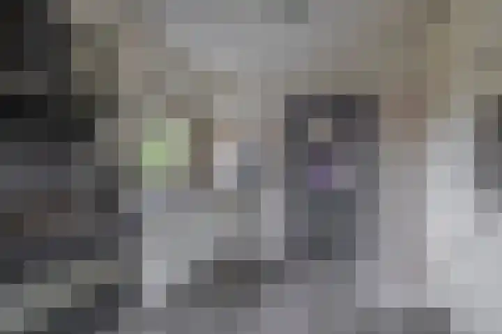 Schenkel 9 Berkenwoude thumbnail 33