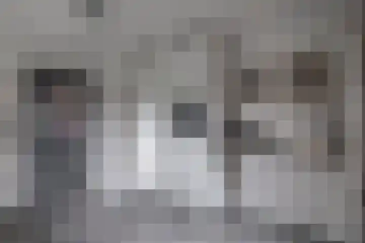 Schenkel 9 Berkenwoude thumbnail 35