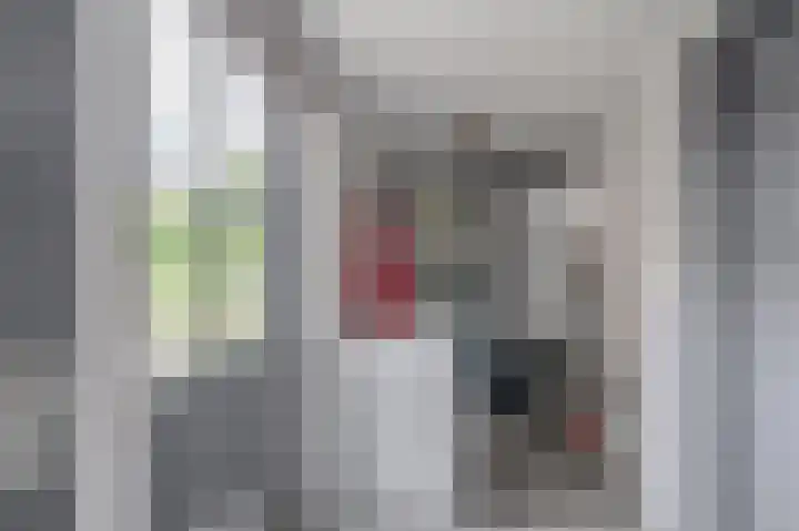 Schenkel 9 Berkenwoude thumbnail 36