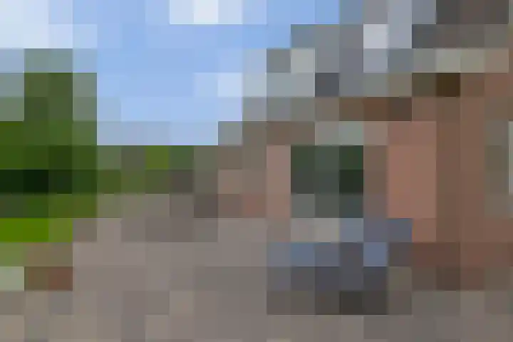 Schenkel 9 Berkenwoude thumbnail 37