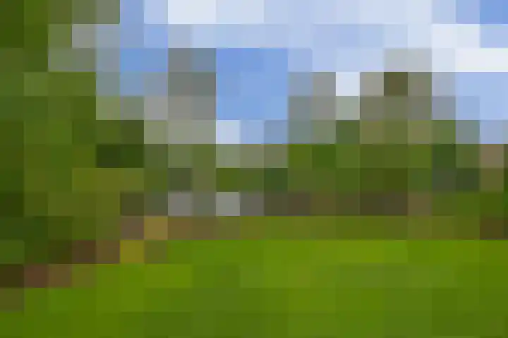 Schenkel 9 Berkenwoude thumbnail 38