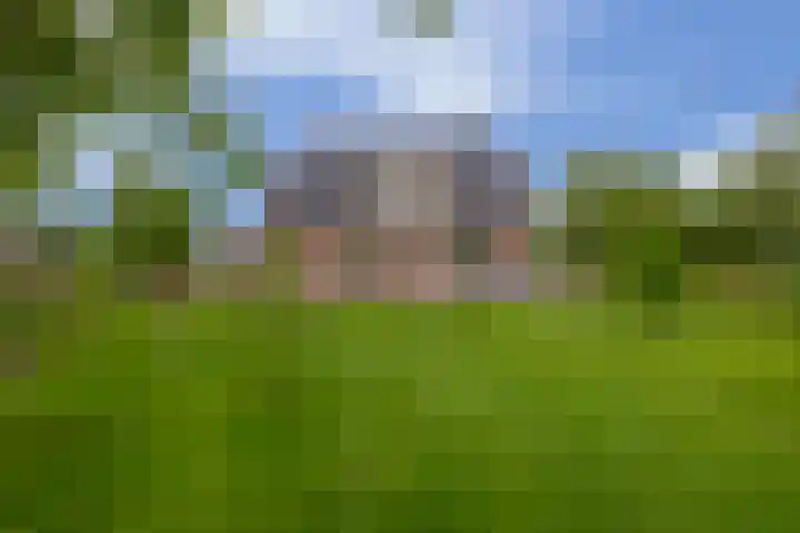 Schenkel 9 Berkenwoude thumbnail 39