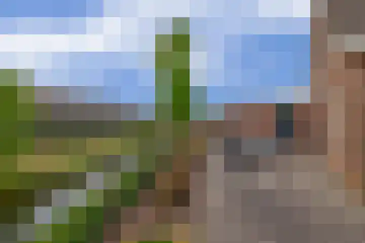 Schenkel 9 Berkenwoude thumbnail 40