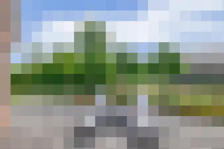 Schenkel 9 Berkenwoude thumbnail 41