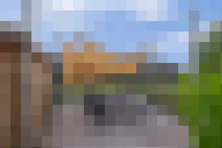 Schenkel 9 Berkenwoude thumbnail 42