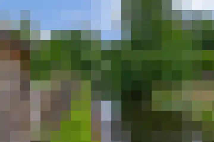 Schenkel 9 Berkenwoude thumbnail 43