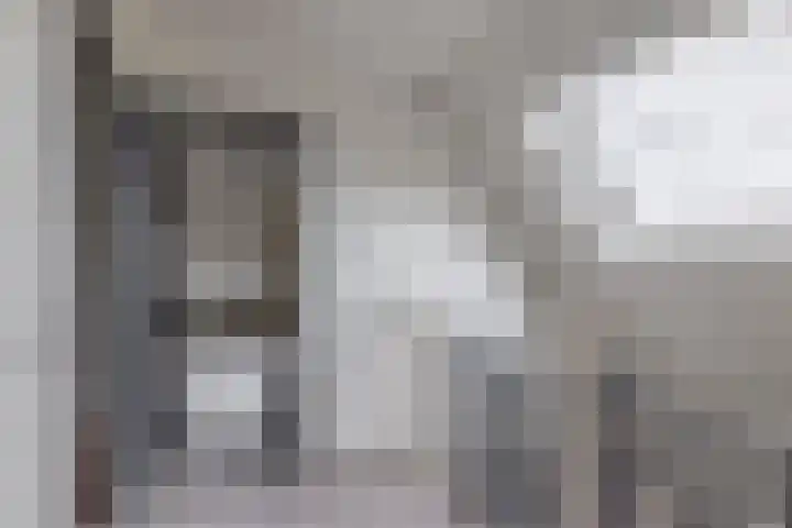Schenkel 9 Berkenwoude thumbnail 45