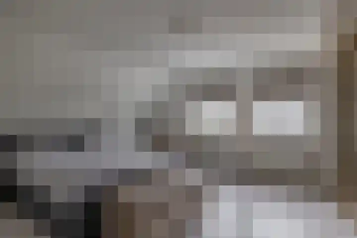 Schenkel 9 Berkenwoude thumbnail 46