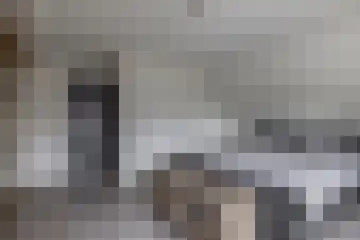 Schenkel 9 Berkenwoude thumbnail 47