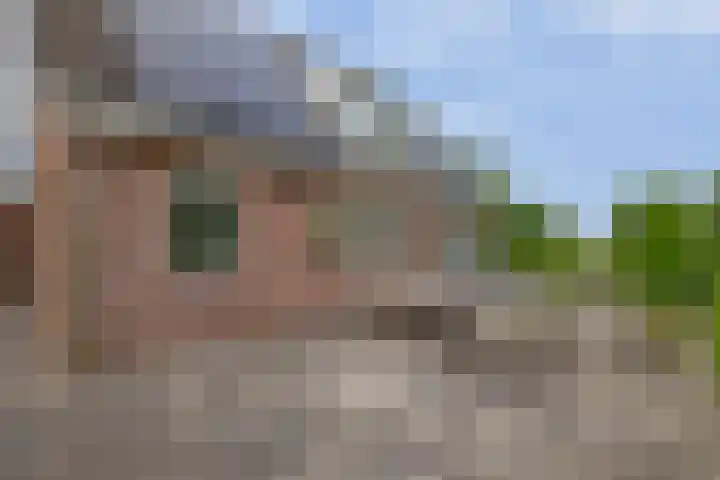 Schenkel 9 Berkenwoude thumbnail 5