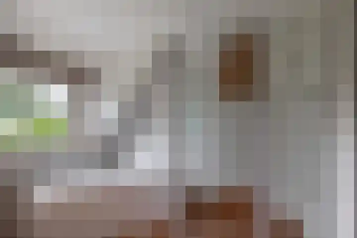 Schenkel 9 Berkenwoude thumbnail 52