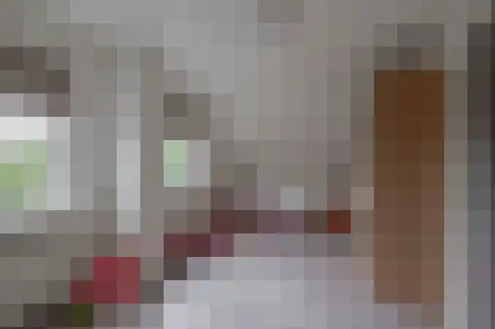 Schenkel 9 Berkenwoude thumbnail 54