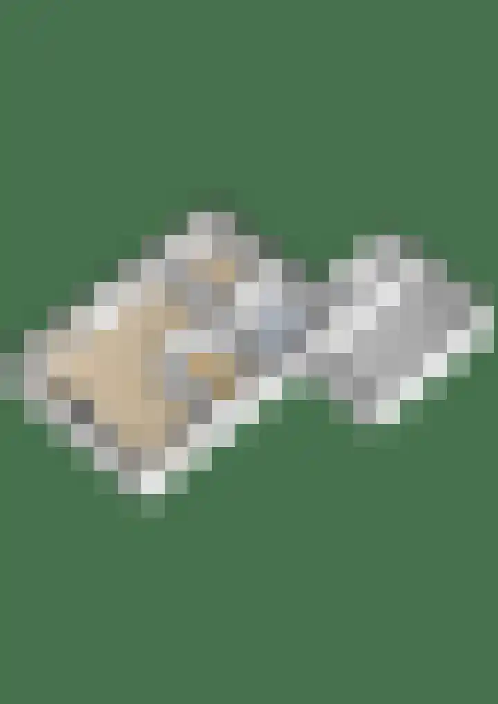 Schenkel 9 Berkenwoude thumbnail 57